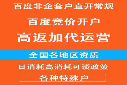 百度SEO推广公司案例研究：助力企业实现关键词排名